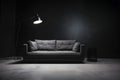 a gray sofa, fashionable comfortable and stylish, by the gray wall