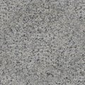 Gray speckled stone, granite or concrete. Seamless texture of natural stone. Designer blank square copy spase