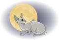 Gray Sphynx cat on moon background. Vector illustration, hand drawn Royalty Free Stock Photo