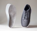 Gray sport shoes  with orthopedic insoles. Foot care products conception Royalty Free Stock Photo