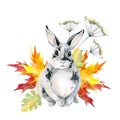 Gray spotted rabbit, sitting. Autumn leaves maple. Watercolor