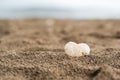 Gray stone in the form of heart lies on sand.