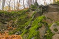 Gray stone with green moss texture background Royalty Free Stock Photo