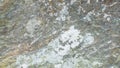 Gray stone texture brown rock mushroom for background, wallpaper, material