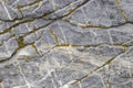 Gray stone texture with green moss Royalty Free Stock Photo