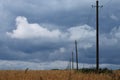 Gray storm clouds over the wheat field with right poles with power lines