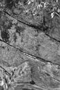Gray striated rock wall with moss, black and white, vertical