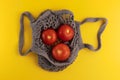 Gray string shopping bag with tomatoes. Royalty Free Stock Photo