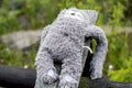 A gray stuffed toy lost by a child.