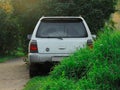 Gray Subaru Forester in green grass and bushes