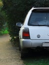 Gray Subaru Forester in green grass and bushes. Silver.