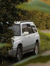 Gray Subaru Forester in green grass and bushes. Silver.