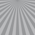 Gray sunbeams background. Vector illustration.