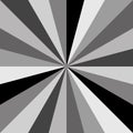 Gray Sunburst background vector pattern of swirled radial striped design.