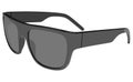 Gray sunglasses Royalty Free Stock Photo