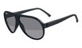 Gray sunglasses Royalty Free Stock Photo