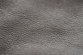 Gray supple soft leather for clothes Royalty Free Stock Photo