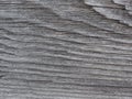 Gray surface of an old board close up Royalty Free Stock Photo