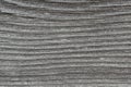 The gray surface of an old wooden board. Rough weathered texture. Horizontal wavy pattern of annual rings. Dark background or Royalty Free Stock Photo