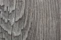 The gray surface of an old wooden board. Rough weathered texture. Vertical drawing of annual rings of wood. Dark background or Royalty Free Stock Photo