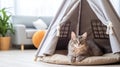 Gray tabby cat relaxing in stylish teepee, modern pet decor, animal at home