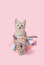 Gray tabby kitten pink Christmas decoration