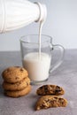 On a gray table are cookies with chocolate, a glass cup into which milk is poured from a bottle