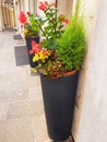Gray tall flower pots with a variety of colors