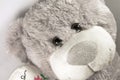 Gray teddy bear