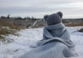 A gray teddy bear sits with its back to us and looks into the distance at the road. A symbol of expectation, loneliness, sadness,