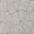 Gray textural abstraction macro photography. Dry asphalt with large cracks. Royalty Free Stock Photo