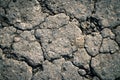 Gray texture of soil with cracks. Surface of cracked asphalt. Concept of climate change