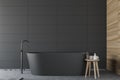 Gray tile and wood bathroom with tub Royalty Free Stock Photo