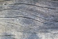 Gray timber board with weathered crack lines Royalty Free Stock Photo