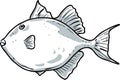 Gray Triggerfish Fish Gulf of Mexico Cartoon Drawing Royalty Free Stock Photo