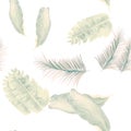 Gray Tropical Botanical. White Seamless Leaf. Pattern Textile. Drawing Nature. Isolated Hibiscus. Banana Leaves.