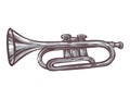 Gray Trumpet Isolated on a White Royalty Free Stock Photo