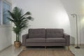 Gray two seater couch between a decorative palm tree and a standing lamp