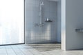 Gray wall bathroom, shower stall