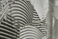 Gray wall glue plaster comb surface prepared for tiling. Tile adhesive notched trowel patterns. Texture background of