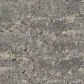 Gray wall stucco seamless texture or background.