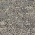 Gray wall stucco seamless texture or background. Royalty Free Stock Photo