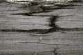 Gray weathered wood with dry rot Royalty Free Stock Photo