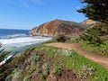 Gray Whale Beach Overlook