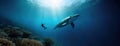 Gray whale underwater approaching a scuba diver in the deep blue sea waters. Panorama with copy space. Royalty Free Stock Photo