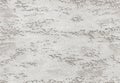 Gray white background seamless stone texture venetian plaster style decorative element. Traditional venetian plaster stone texture Royalty Free Stock Photo