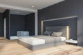 Gray and white bedroom with bathroom Royalty Free Stock Photo