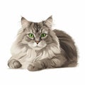 a gray and white cat with green eyes laying down on a white background with a white background and a black and gray cat with Royalty Free Stock Photo