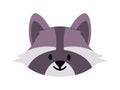 gray and white color raccoon head furry wild nature mammal omnivorous animal cute adorable face