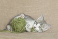 Kitten Playing With Green Yarn Ball Burlap Background